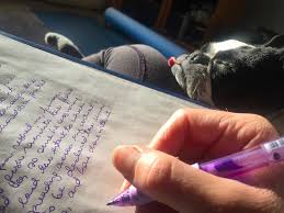 homework help